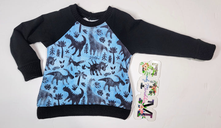 Watercolor Dinos Raglan Pullover