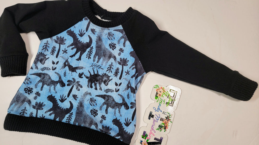 Watercolor Dinos Raglan Pullover